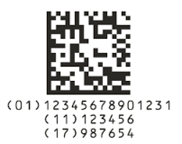 GS1 Data Matrix 2